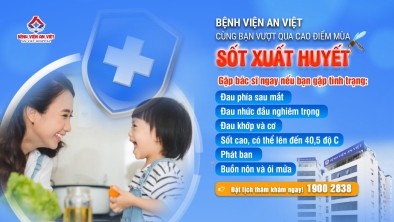 Bệnh viện An Việt sẵn sàng cùng bạn vượt qua cao điểm mùa sốt xuất huyết