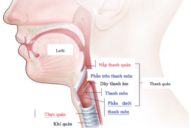 Mổ u nang dây thanh quản là gì? Quy trình ra sao?