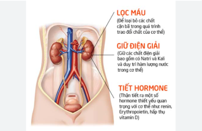 Biểu hiện chứng thận hư sớm nhất, đa phần người Việt đều bỏ qua