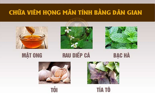 Cây Thuốc Dân Gian Chữa Viêm Họng Hạt: Giải Pháp Tự Nhiên Hiệu Quả