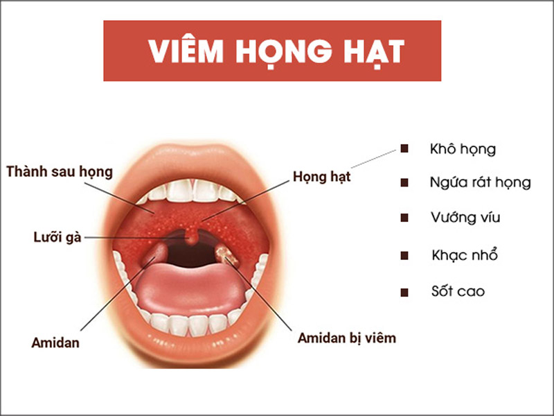 7. Tài liệu tham khảo và nguồn thông tin uy tín