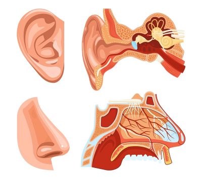 Bệnh Tai Mũi Họng Mùa Nắng Nóng: Những Điều Cần Lưu Ý