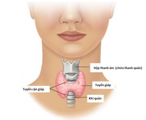 THYROID CANCER CURABLE