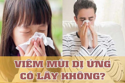 Bệnh viêm mũi dị ứng có lây không? Cách phòng ngừa viêm mũi dị ứng hiệu quả