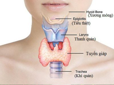 Suy giáp: Nguyên nhân, triệu chứng và phương pháp điều trị