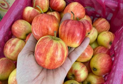 Bổ cho thận, tuyệt đối nên bổ sung những loại thực phẩm này