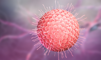 Virus HPV là gì, nguy hiểm thế nào