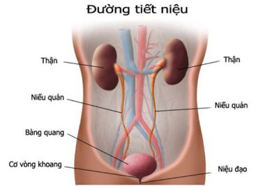 Khám bệnh lý đường tiết niệu ở đâu? Triệu chứng như thế nào thì cần gặp bác sĩ?