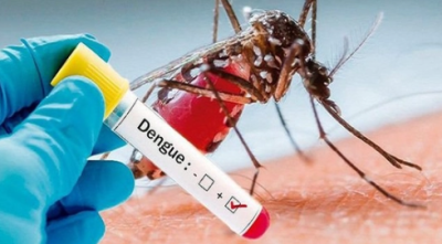 Không chủ quan với dịch bệnh sốt xuất huyết đầu hè