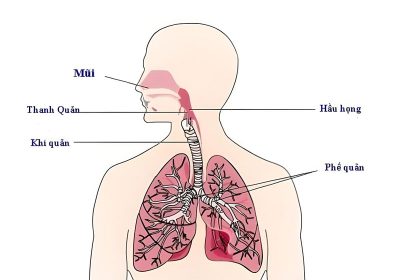Bệnh lý đường hô hấp trên: Nguyên nhân và triệu chứng gây bệnh