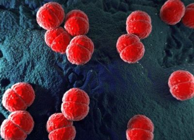 Viêm màng não do não mô cầu nguy hiểm thế nào?