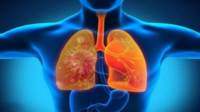 Viêm Phổi Ở Người Lớn: Khi Nào Cần Đến Bệnh Viện Ngay?