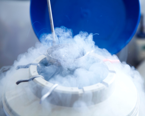 Trữ trứng là gì? Lưu ý gì khi phụ nữ trữ trứng?