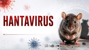 Bệnh do virus Hanta: Những điều cần biết
