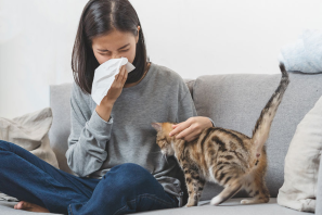 Bị viêm mũi dị ứng có nuôi thứ cưng được không?