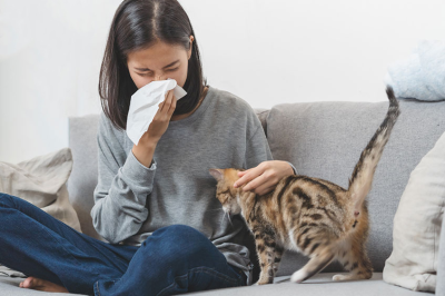 Bị viêm mũi dị ứng có nuôi thứ cưng được không?